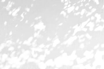 Wall Mural - leaves shadow with sunlight effect on concrete white textured wall. leaf shadow overlay effect