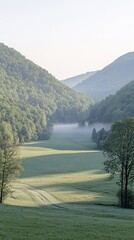 Wall Mural - Misty morning valley with green fields and trees.