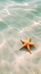 Poster - Vibrant orange starfish resting on the sandy seabed of a crystal clear turquoise sea, creating a serene and tranquil summer scene filled with natural beauty