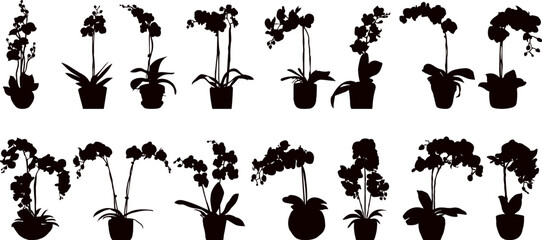 Wall Mural - orchid set silhouette on white background vector