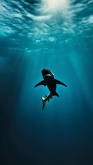 Poster - Majestic great white shark gracefully navigating the deep blue ocean, illuminated by beams of sunlight penetrating the surface, creating a captivating underwater scene