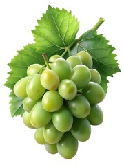 Wall Mural - Bunch of green grapes isolated white background