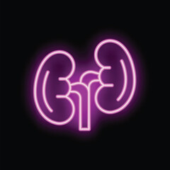 Wall Mural - Bright pink neon sign depicting a pair of human kidneys glowing on a black background