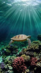 Aufkleber - Sunbeams penetrate the ocean water, illuminating a sea turtle swimming gracefully above a vibrant coral reef, creating a breathtaking underwater scene