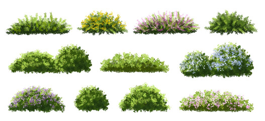 Fototapete - Vector of tree or blooming  side view isolated on white background ,watercolor tree elevation for landscape concept,environment scene,eco design,blossom garden for spring