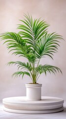 Poster - Stylish Indoor Plant Display on a Round Wooden Stand