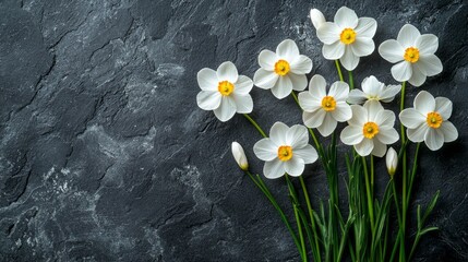 Poster - A vibrant bouquet of white spring flowers with bright yellow centers emerges from a dark, textured background. The delicate blossoms and budding stems convey the essence of renewal and beauty
