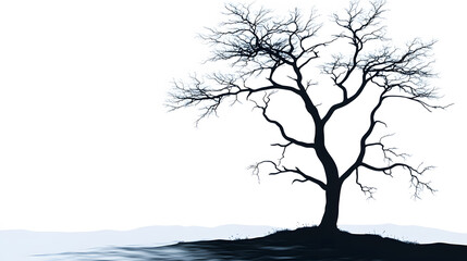 Poster - Lonely silhouette of a leafless tree against a stark white background