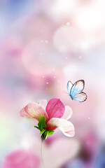 Wall Mural - spring background with blooming pink magnolia flowers and flying butterfly.