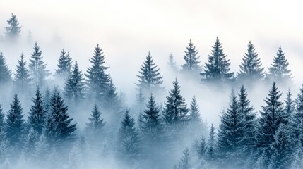 Poster - Enchanted Winter Forest Misty Mountain Landscape