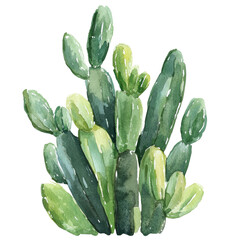 Aufkleber - A watercolor painting depicts a cluster of cacti with various shades of green leaves against a white background.