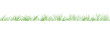 © Yauheniya_Bandaruk - Green grass seamless pattern. Vector crayon drawn