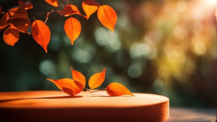 Wall Mural - The leaves cast a shadow on the bright orange studio podium. Sunlight penetrates through the foliage. Gentle bokeh effect. A photo with a place to copy it.