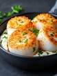© Ryzhkov - Avant-Garde Dark Gastronomy Baked Scallops on Textured Black Ceramic with Parsley Cream Gourmet Seafood Marketing and Culinary Aesthetic for Upscale Dining Experiences