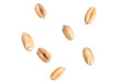 © Krzysztof Bubel - wheat grains isolated on white background