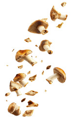 Poster - Group of mushrooms floating in the air with a blurred natural background isolated on transparent background.