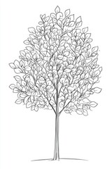 a tree with no leaves is drawn in black and white. the tree is tall and slender, with a trunk that i