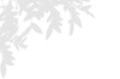 © fatima - Realistic blurred leaf shadow effect isolated on transparent background. blur branch leaves shadow. Plant foliage silhouette. Nature design element for spring summer, mockup for product presentation