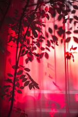 Aufkleber - The silhouette of a tree is casting shadows on a window with a warm red background