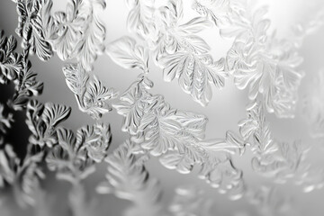 Fototapete - Intricate frost patterns on a windowpane, resembling delicate, icy flowers.