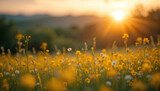 Abstract soft focus sunset field landscape of yellow flowers and grass meadow warm golden hour sunset sunrise time. Tranquil spring summer nature closeup and blurred forest background. Idyllic nature