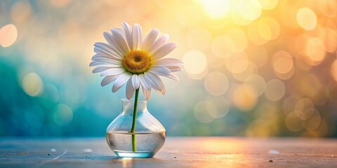 Wall Mural - Vibrant Daisy in Glass Vase, Colorful Background, Spring Floral, Drone Photography