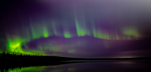 Wall Mural - bright green and purple aurora reflecting in calm lake with partly transparent sky