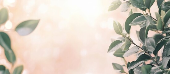 Aufkleber - Soft focus background with leafy branches and warm light bokeh effect providing ample copy space for text insertion.