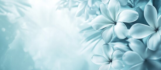 Poster - Blue floral background with delicate flowers and soft focus, ideal for creating invitations or posters, Copy Space available.