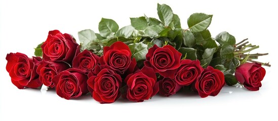 Poster - Fresh red roses with green leaves arranged in a bouquet on a white background Copy Space