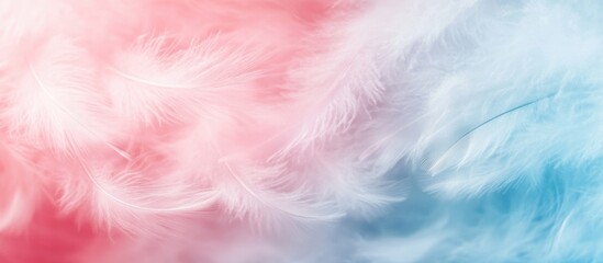 Poster - Soft pastel feathers in pink and blue hues on a textured background with Copy Space for text placement.