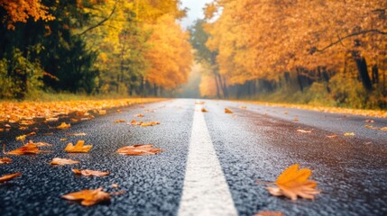 Poster - Autumn road surrounded by colorful trees with fallen leaves on pavement and foggy weather copy space