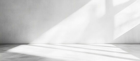 Poster - Abstract white wall interior with natural light shadows and soft reflections on the floor Copy Space