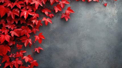 Poster - Red Ivy Leaves on Textured Gray Background with Copy Space for Text or Design Elements