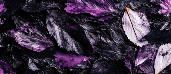 Poster - Colorful abstract background of dark feathers with purple accents, displaying intricate textures and patterns, with Copy Space available for text.