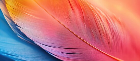 Aufkleber - Colorful abstract feather texture with vibrant hues of orange, pink, and blue, featuring smooth gradients and Copy Space.