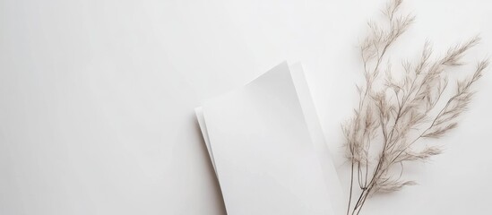 Poster - Blank hardcover book with dried grass on a light background and Copy Space for text placement.