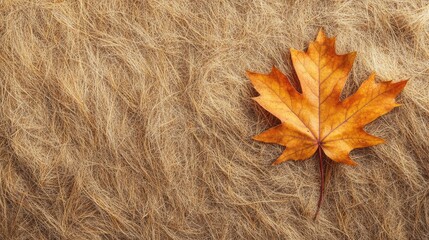 Poster - Maple leaf on textured natural fibers background with copy space for text. Autumn foliage concept.