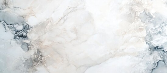 Poster - marble texture background in light gray and white tones with subtle patterns and copy space for text