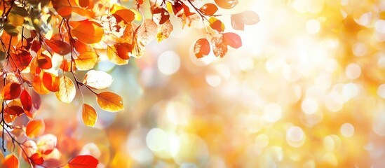 Poster - Autumn leaves with warm colors against a blurred light background featuring soft bokeh and ample copy space for text placement.