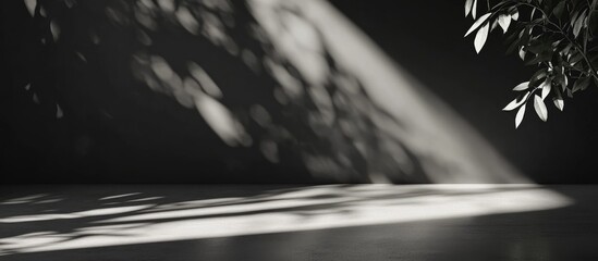 Poster - Black and white image featuring abstract shadows from leaves on a flat surface with Copy Space for text placement.