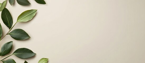 Poster - Green leaves on a light beige background with copy space for text placement.