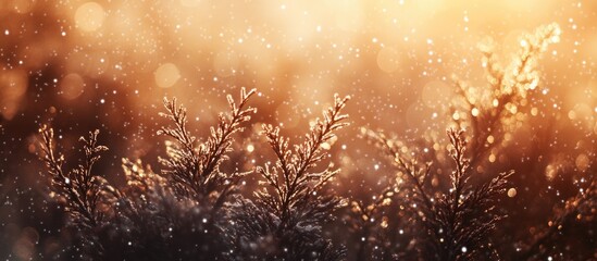 Poster - Frosty branches with sparkling snowflakes in soft golden sunlight bokeh with copy space for text
