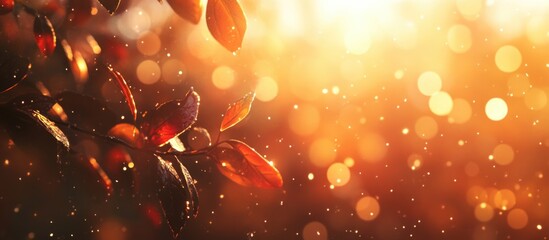 Poster - Autumn leaves with raindrops glowing in sunlight creating a bokeh effect Copy Space
