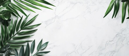 Poster - Tropical leaves with marble background and copy space for text or design purposes
