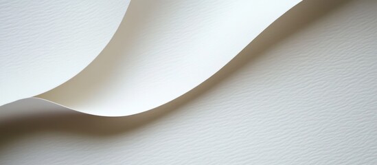 Poster - Curved white paper sheet on textured background with natural light and soft shadows Copy Space