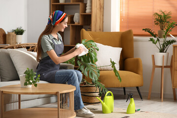 Wall Mural - Young woman cleaning dust from leaves of Monstera houseplant in living room