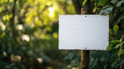 Poster - Rustic White Wooden Signpost with Blank Canvas Surrounded by Lush Green Forest Foliage and Soft Natural Light in Background