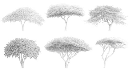 Poster - tree drawings showcasing diverse branch structures generative ai