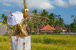 © Tropical studio - Shrine for Hindu offering with decoration. Part of Bali Penjor - bamboo pole on village street in front of Balinese people houses and temples on Galungan, Kuningan holidays. Indonesian art and culture